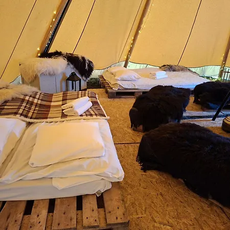 Luxussátor Lavvo Pa Angell Gjestegard Narvik